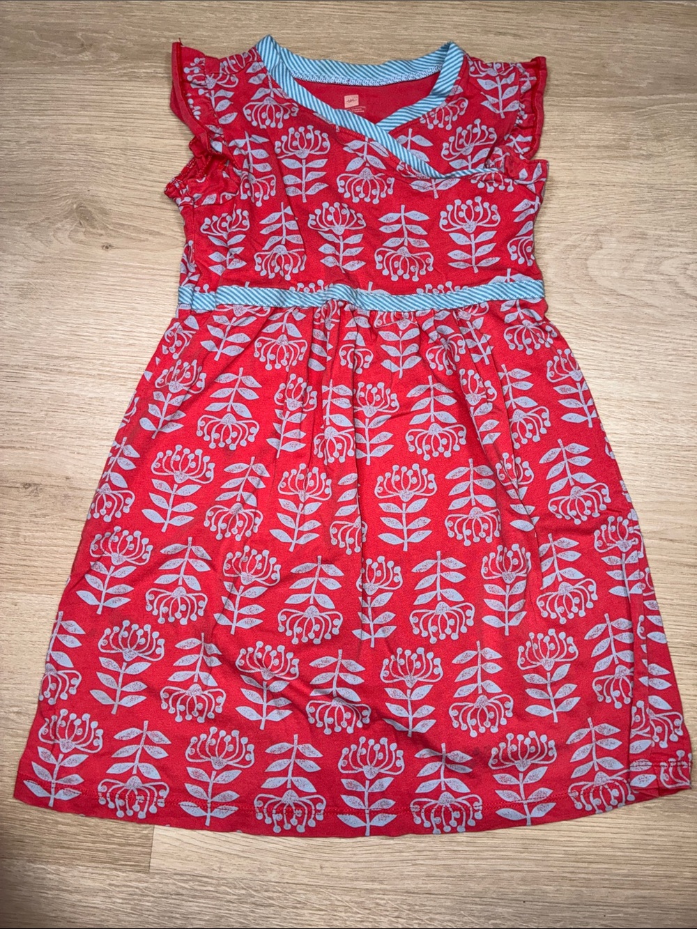 Tea collection Girls' Red Floral Print Dress with Blue Trim